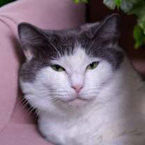 Thumbnail photo of Martha May #3