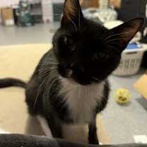 Thumbnail photo of Dominic #2