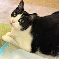 Thumbnail photo of Dulce de Leche #4