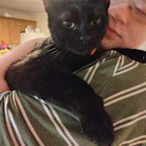 Thumbnail photo of Jackal #3