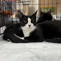 Thumbnail photo of Targee #3