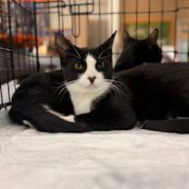 Thumbnail photo of Targee #4