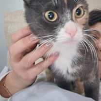 Thumbnail photo of Mia #4