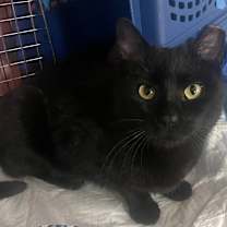 Thumbnail photo of Jane #1