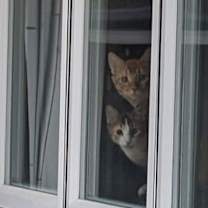 Thumbnail photo of Tabberton #4