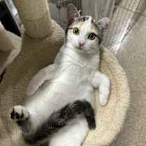 Thumbnail photo of Kalani #3