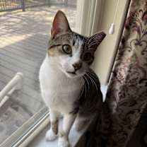 Thumbnail photo of Jayde #1