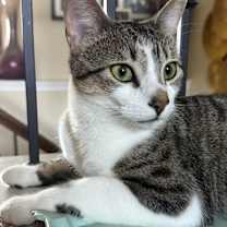 Thumbnail photo of Jayde #3