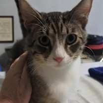 Thumbnail photo of Mikey #1