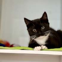 Thumbnail photo of Shirley #2