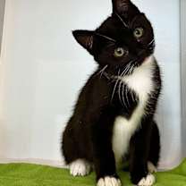 Thumbnail photo of Shirley #3