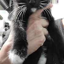 Thumbnail photo of Mondo #4