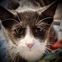 Thumbnail photo of Mateo #4