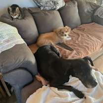 Thumbnail photo of Allegra #3