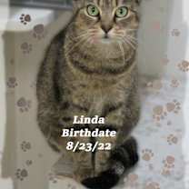 Thumbnail photo of Linda #1
