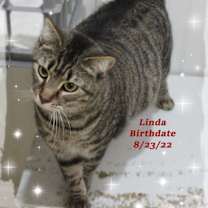 Thumbnail photo of Linda #2