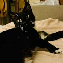 Thumbnail photo of Simone #1