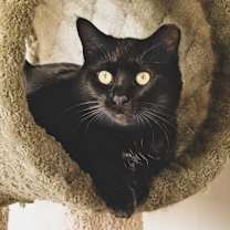 Thumbnail photo of Belle #1