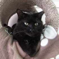 Thumbnail photo of Belle #4