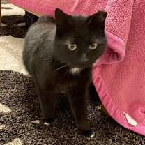 Thumbnail photo of Wynona #2