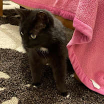Thumbnail photo of Wynona #3
