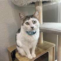 Thumbnail photo of Jude #1