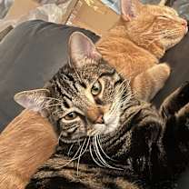 Thumbnail photo of Gustavo #1