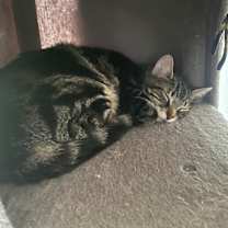 Thumbnail photo of Gustavo #2
