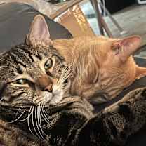 Thumbnail photo of Gustavo #3