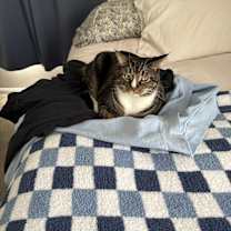 Thumbnail photo of Bugs #2