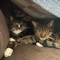 Thumbnail photo of Bugs #4