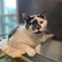 Thumbnail photo of Berry #1