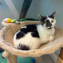 Thumbnail photo of Berry #2