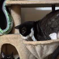 Thumbnail photo of Ariel #3