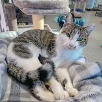 Thumbnail photo of Kaylee #3