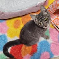 Thumbnail photo of Jello #2