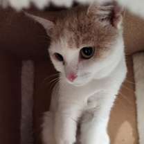 Thumbnail photo of Clara #2