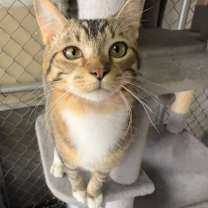 Thumbnail photo of James Dean #3