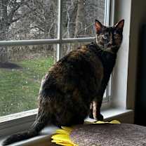 Thumbnail photo of Elvie #2