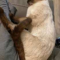 Thumbnail photo of McCoy #4
