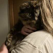 Thumbnail photo of Tweety #2