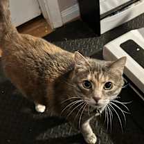 Thumbnail photo of Tara #1