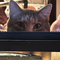 Thumbnail photo of Tara #4