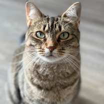 Thumbnail photo of Rosemary #1