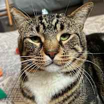 Thumbnail photo of Seymour #1