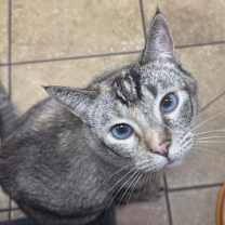 Thumbnail photo of Katya #1