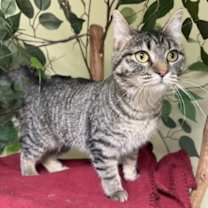 Thumbnail photo of Tess #2