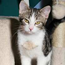 Thumbnail photo of Maisy #1