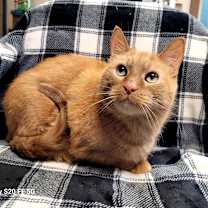 Thumbnail photo of Jack #1