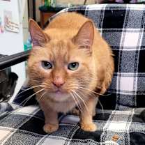 Thumbnail photo of Jack #2